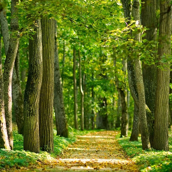 Meet your Posher, Mario - Picture 1 of 1